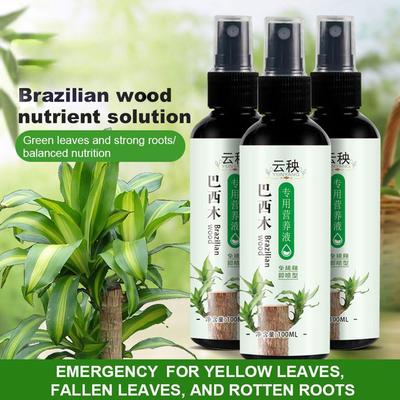 1/3/5PCS Engrais pour plante Bois du Brésil Engrais liquide Bois du Brésil Chanceux Solution nutritive Bois du Brésil Engrais pour plante d'intérieur