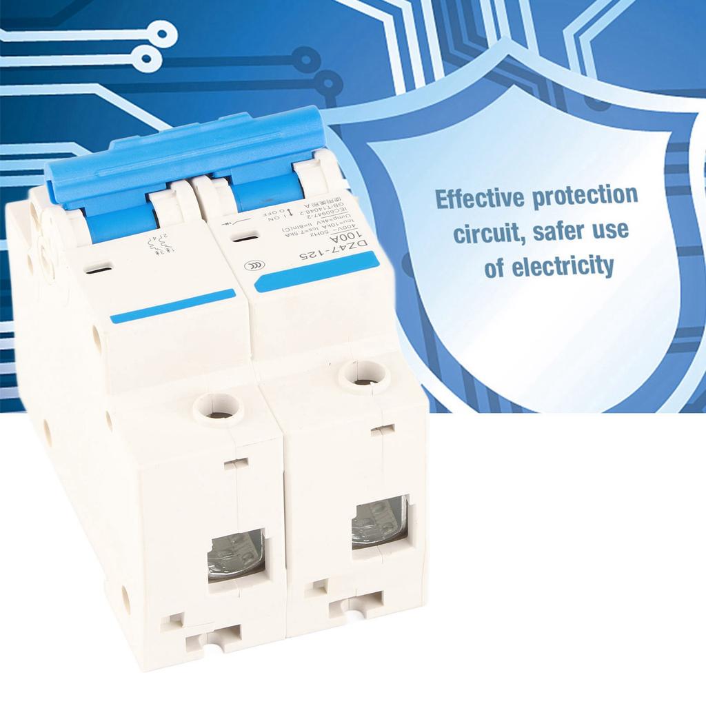 Interruptor de protección contra fugas 400V 80100125A DZ47?125 2P? Disyuntor miniatura de corriente(100A)