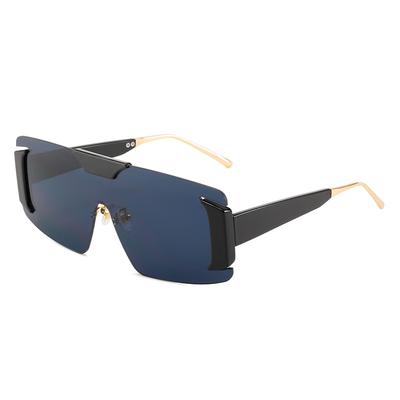 Winter One-Piece Sunglasses, One-Piece Large-Frame Sunglasses Of The Same Style For Women