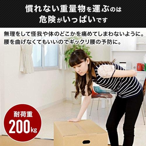 UPstore Moving Belts, Heavy Load Carrying Belts, Safety Belts, Carrying Belts, Set of 2, Moving Belts, Easily Transport Heavy Items, Reduces Perceived