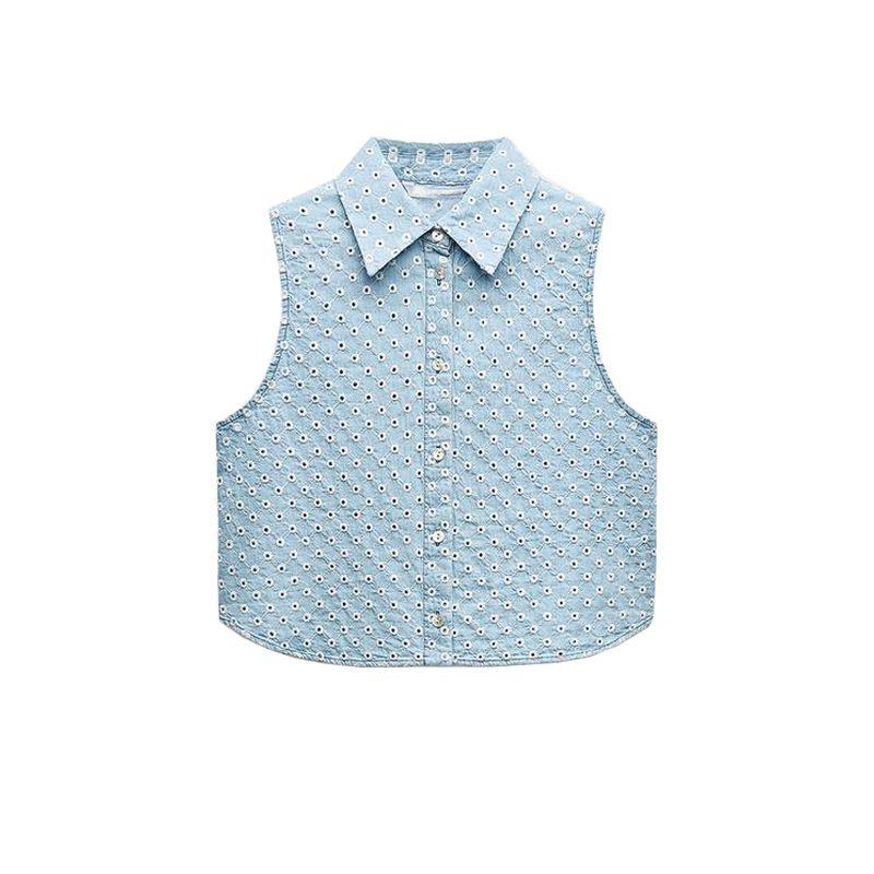 

Ранняя осень Новое поступление Вырезы Вышивка Джинсовые топы 8445082 Джинсовые шорты прямого кроя с высокой посадкой Джинсовые шорты для женщин 6147118 Light blue Tops L