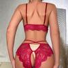 Comfortable Lace Sexy Lingerie Women Bra And Panty Set See Through Lingerie Sets Open Crotch Female Underwear Erotic Costumes
