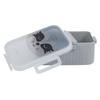 LUNCH BOX for school Raccoon plastic LUNCH BOX