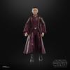 Hasbro Star Wars STAR WARS Black Series Star The Phantom Menace Collection 15 cm Action For ages 4 and up G0025 Genuine Product Padmé Amidala, Wars