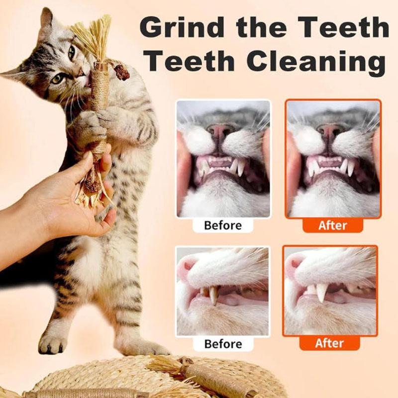 6Pcs Catnip Toys Cat Wand Silvervine Sticks Cat Toys For Indoor Chew Cats Toy