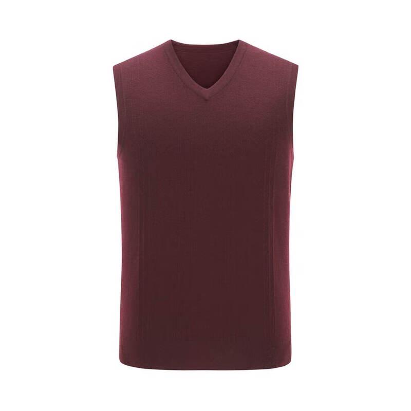 Youngor Men's Autumn/Winter Washable V-Neck Wool Vest