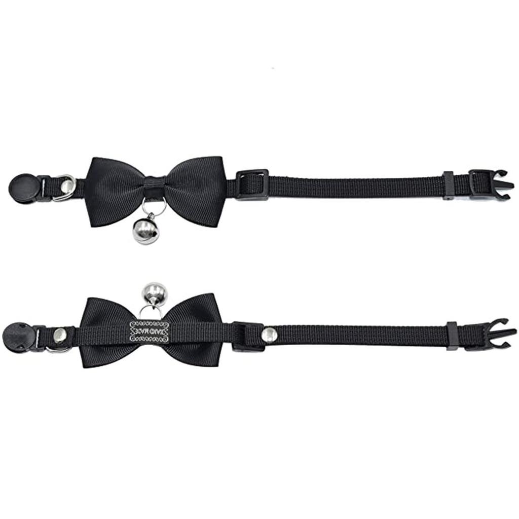 petsmart kitten collars