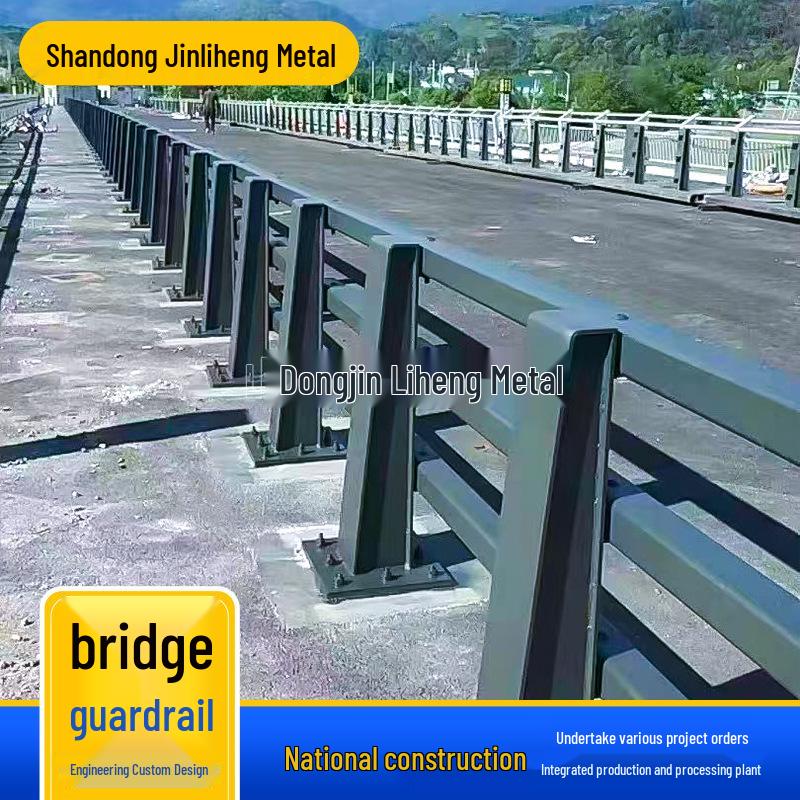 Stainless Steel River Pedestrian Bridge Anti-Collision Safety Railing
