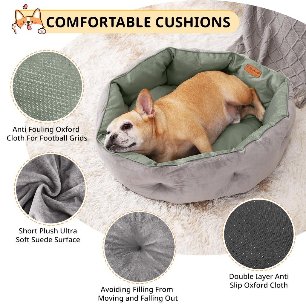 Calibonbon Haustierbett für Hunde und Katzen, Kühlung und für mittelgroße Hunde und Premium-Tierbedarf, Heizung, Hunde/kleine Katzen, rutschfest, waschbar, grün,