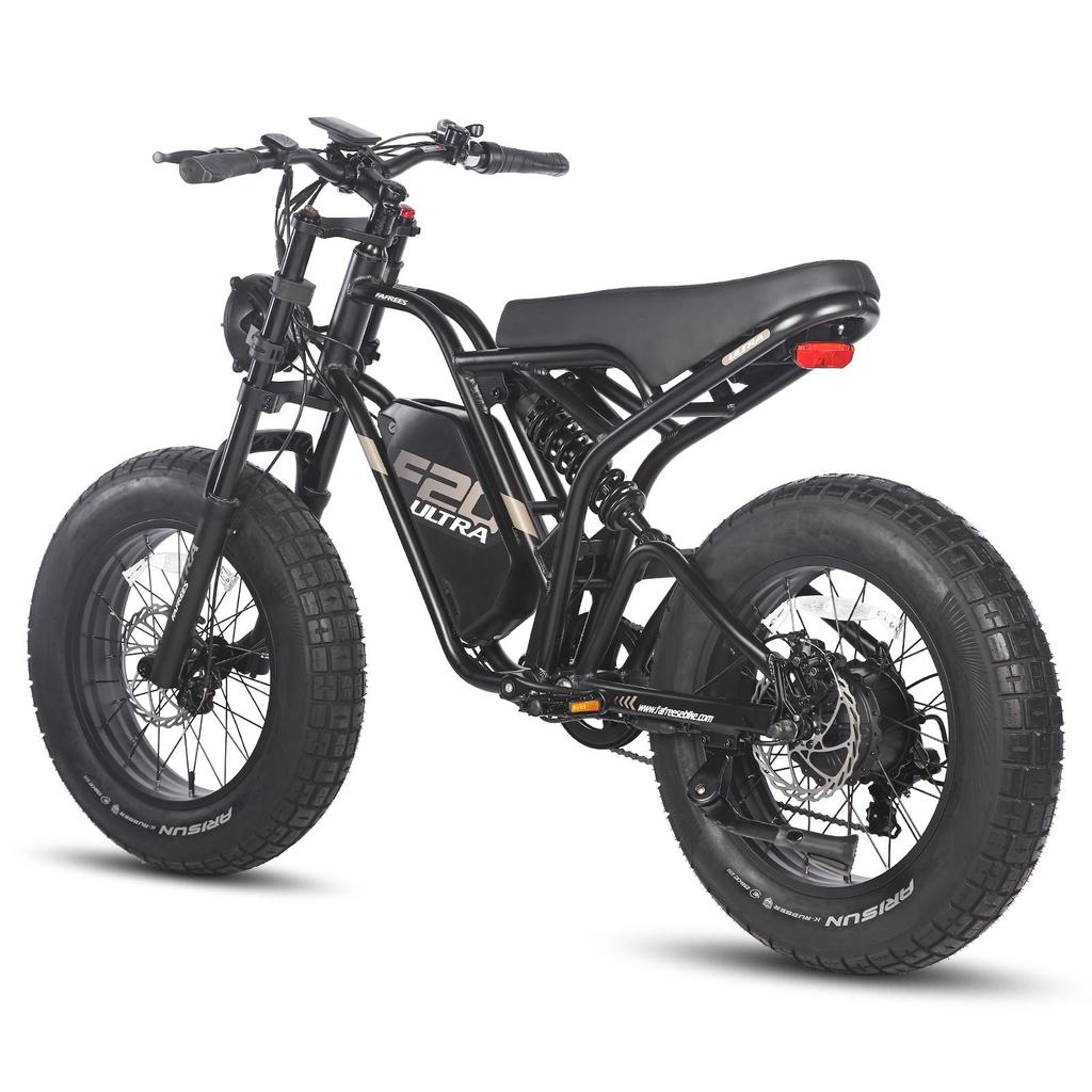 Electric Bicycle FAFREES F20 Ultra 20" 750W Motor Electric Bike Adult Top Speed 40Km/h 48V 25AH Range 140Km Load 180Kg