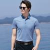 30% Mulberry Silk Polo Shirt for Men