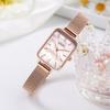 Small Square Plate Simple Temperament Ultra-Thin Quartz Stainless Steel Waterproof Mesh Belt Women'S Student Watch