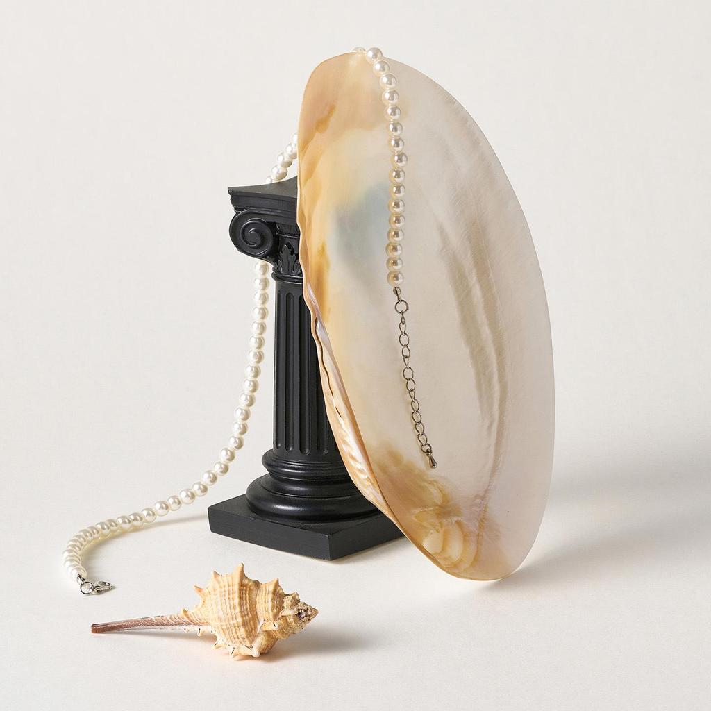 Luxusní mušlová miska, fotografické rekvizity pro šperky, nail art a flat lay dekorace