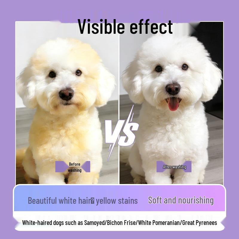 Bleek Hondenshampoo voor Witte Honden & Katten - Geurverwijderend & Ophelderend voor Pomeranian, Bichon, Samojeed