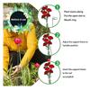 Tomato Stake, Spiral Tomato Stakes, Tomatos Stakes, Plant Supports Cages, Climbing Plant Stake Tower Plant Supports, Support Tools For The Garden