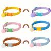Adjustable Elastic Pet Collar for Cats and Dogs - In Stock