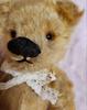 [USED] Limited-time special price: Chad Valley antique teddy bear from the 1930s with tag.