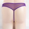 Mesh Briefs Sheer See-Through T-back Thong Underpants