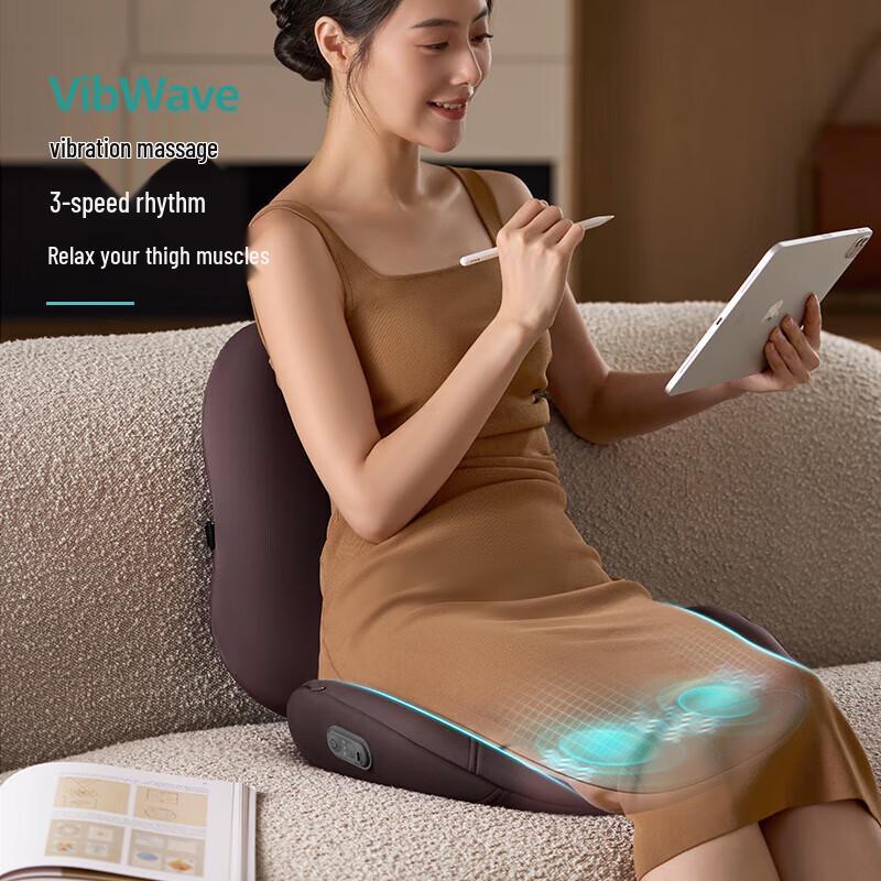 Philips PPM3403B Massage Cushion