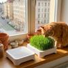 Anti-Pull Out Cat Grass Planter Plastic Wheat Seedling Pot Easy Grow Sprout Tray  Indoor Growing