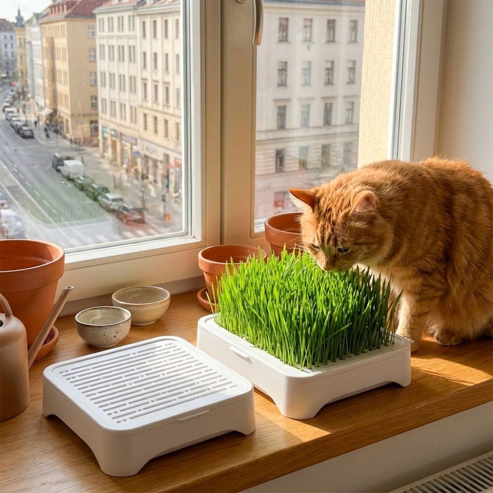 Anti-Pull Out Cat Grass Planter Plastic Wheat Seedling Pot Easy Grow Sprout Tray  Indoor Growing