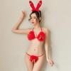 Sultry Christmas & Halloween Lingerie Set: Sheer Mesh Stockings