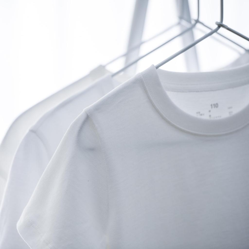 MUJI Aluminum Laundry Hanger Set of 3 (MAF60A0S)