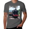 Flying Scotsman Crossing The Points Tshirt Large Size Basic Casual Tshirt