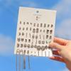 Earrings Version 5 Earrings Set Earrings Collection 30 Pairs