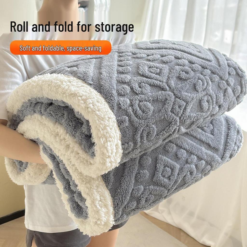 2025 Autumn/Winter Taffeta Fleece Duvet Cover & Blanket Combo for Home/Office