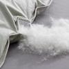 All-Cotton Warm Core White Goose Down Comforter