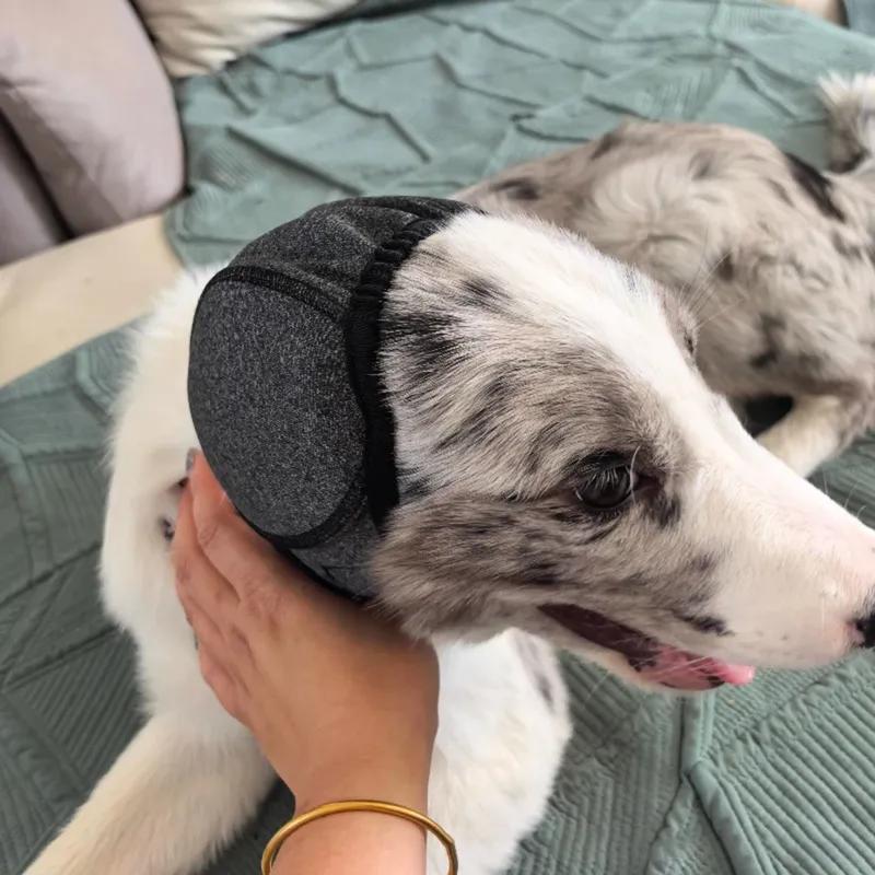 Abafadores de Som para Redução de Ruído em Cães Isolamento Acústico Proteção Auditiva para Cães Touca Impermeável para Natação Touca para Acalmar Emoções de Cães