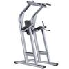 Yueji Tiger Home Pull-up and Dip Station