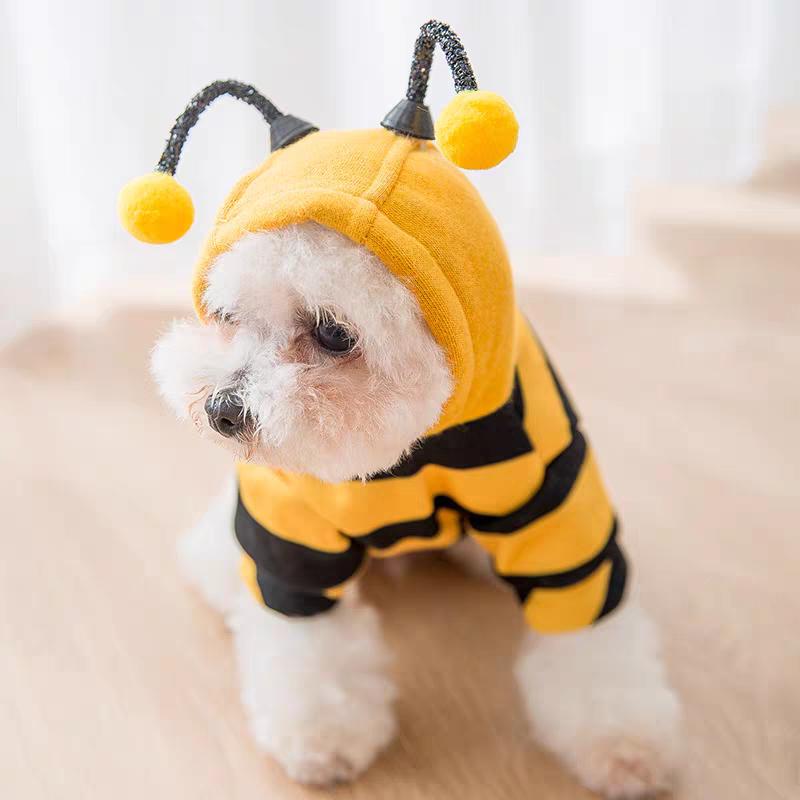 Biene Haustier Welpenmantel Bekleidung Outfit Hund Halloween Kapuzenpullover Winter Katze Cosplay Kostüm Feiertagsoutfit für Kleine Mittelgroße Hunde & Katzen