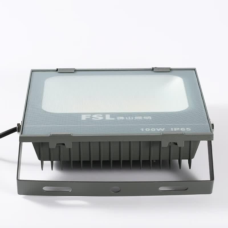 FSL Glory Series 100W LED Floodlight