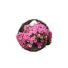 Willow Wall Basket