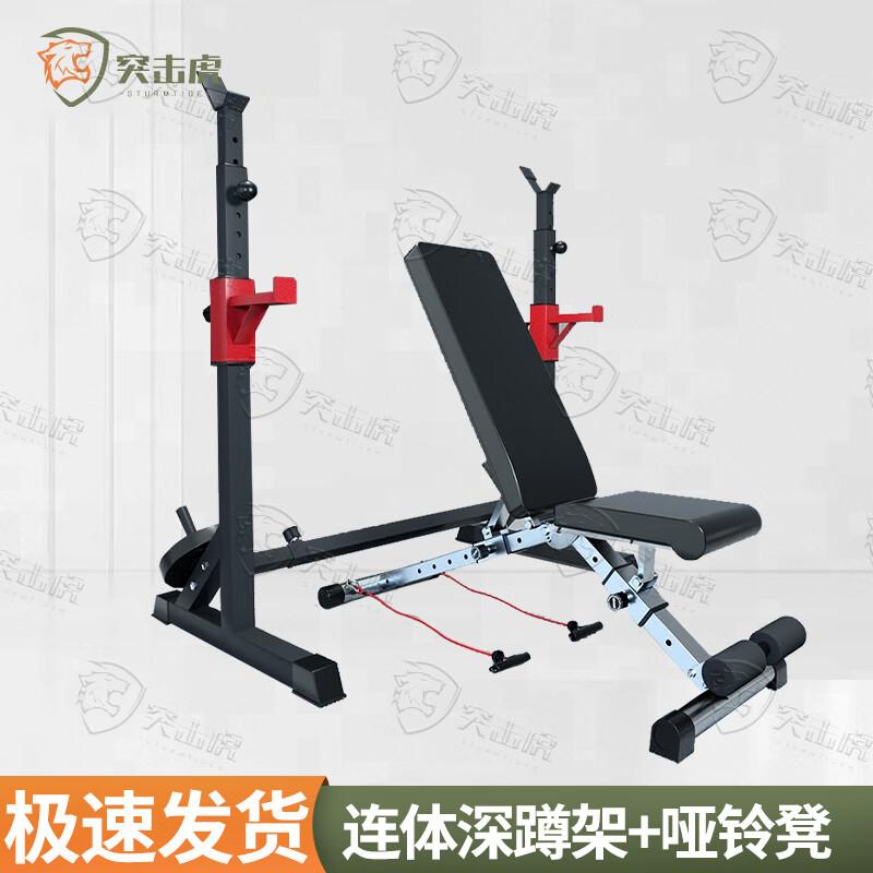 Assault Tiger Integrated Squat Rack & Weight Bench