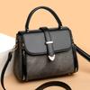 2025 New Women's Handbag, Messenger Bag, Premium Bag, Birthday Gift, Niche Shoulder Bag.