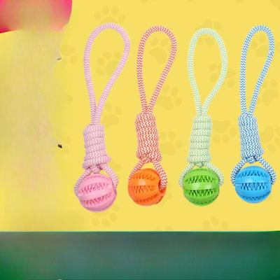Corda de Nó para Mastigar Cão Brinquedo de Silicone Corda de Nó para Limpeza de Dentes de Cão Pequeno Brinquedo de Haste Molar para Treinamento de Cão