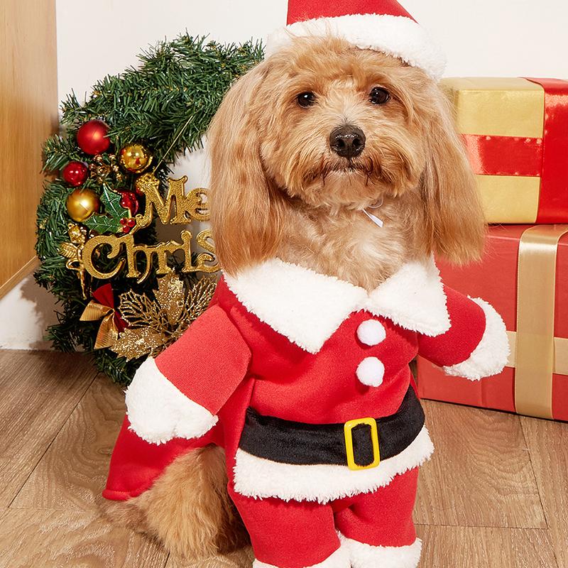 Niedliches Hunde Weihnachtsmann Outfit Weihnachtskostüm für kleine Hunde Katzen Teddy Yorkie Cosplay Kleidung Verkleidung Jumpsuit Partyzubehör