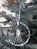 Austrian Pinscher - Crystal Bauble with a Photo, Dog Photo In Crystal, Personalized Christmas Tree Ornament by Art-Dog Brand
