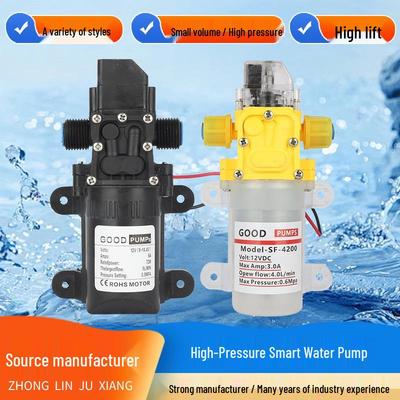 High-Pressure 12V Electric Diaphragm Pump for Car Wash & Sprayer