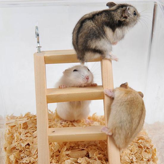 Wooden Climbing Ladder Hamster Guinea Pig Mouse Playing Toy Pet Cage Ornament