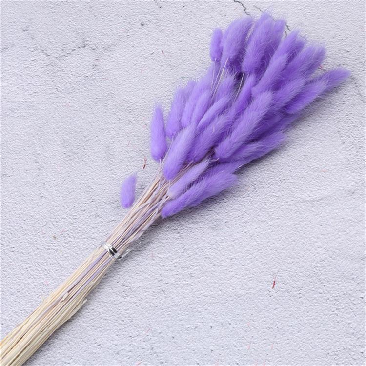 60pcs Natural Dried Lagurus Ovatus Foxtail Bouquet for Decoration