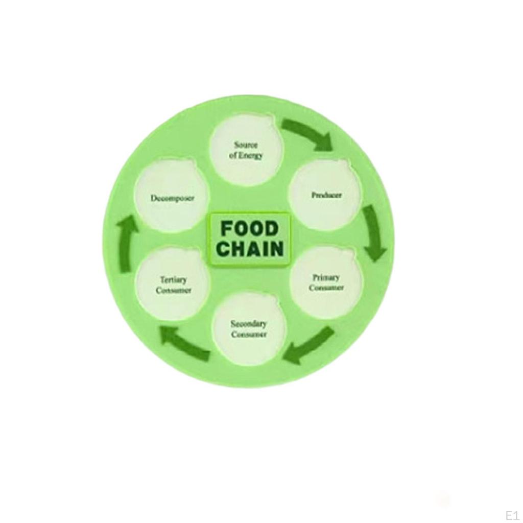 Food Chain Life Cycle Kit Party Favors Science Education Toys Animal Learning Web for 3 4 5 6 7