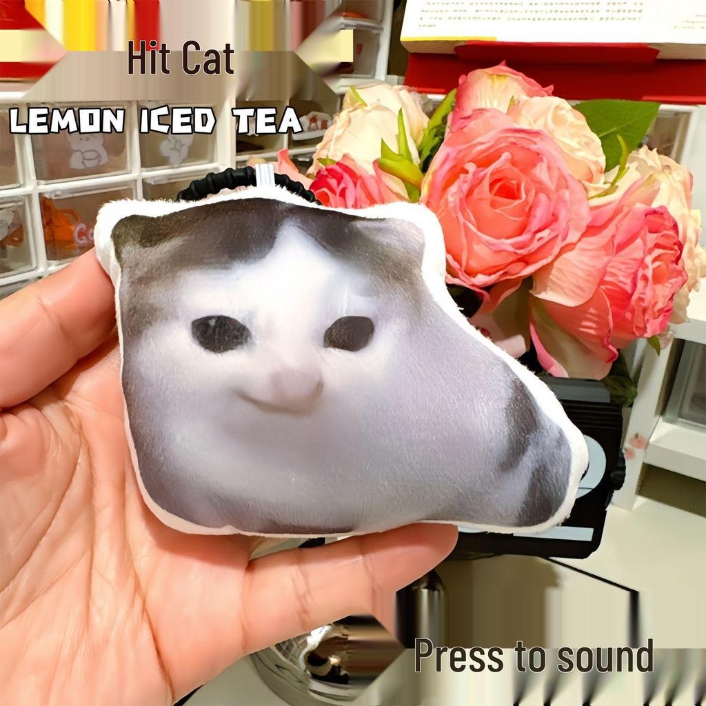 Oiiai Funny Irregular Plush Kitten Pillow Toy