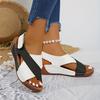 Women's Color Blocking Slope Heel High Heel Sandals, Casual Open Toe Thick Bottom Shoes, Comfortable Ankle Strap Sandals