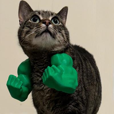2Pcs Cat Muscular Arm Costume Cat Neck Arm with Muscle 3D Printed Superhero Cosplay Pet Spoof Toy Funny Cat Photo Prop Accessory