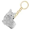 Clear Pet Hair Memorial Storage Box Keepsakes Keychain For Dog Lover Pet Furs Collector Keychain Accessories Gift