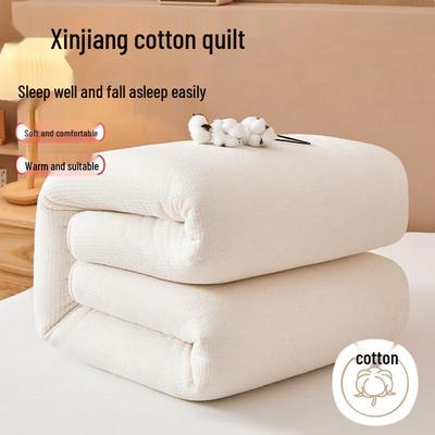 Changjingtongda All-Season Cotton Duvet Insert